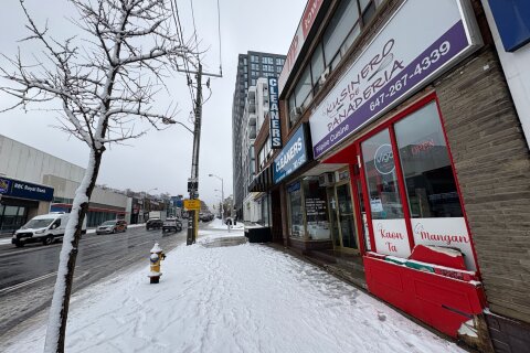 Additional image 8 of 883 Eglinton Avenue W, Toronto, ON, M6C 2C1