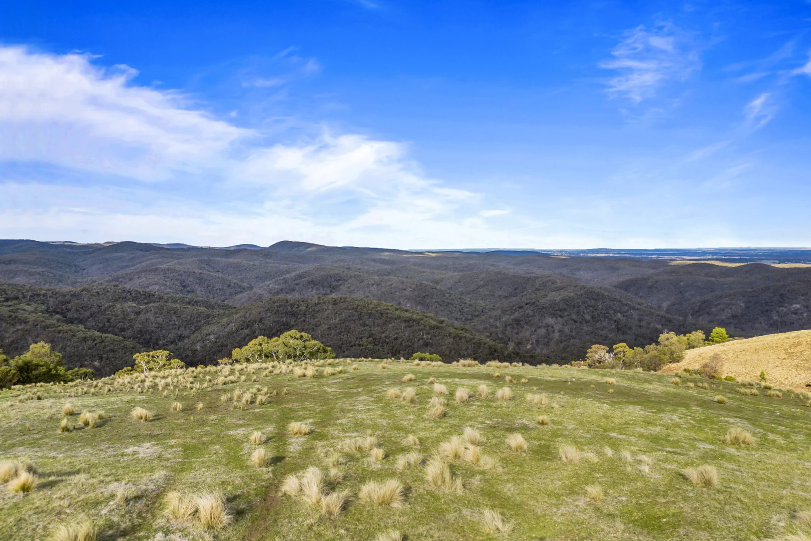 Additional image 3 of CA 22D & 22E Spotiswood Road, Bullengarook VIC 3437