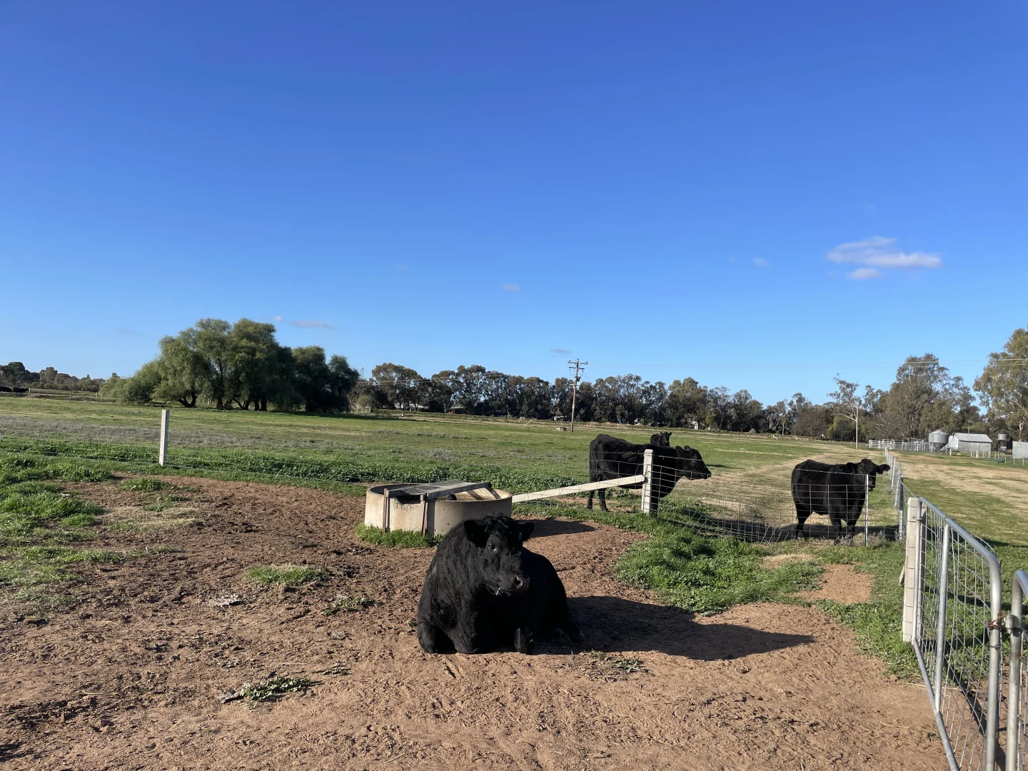 Additional image 29 of 'Kindimindi' 6176 Wakool Road, Wakool NSW 2710