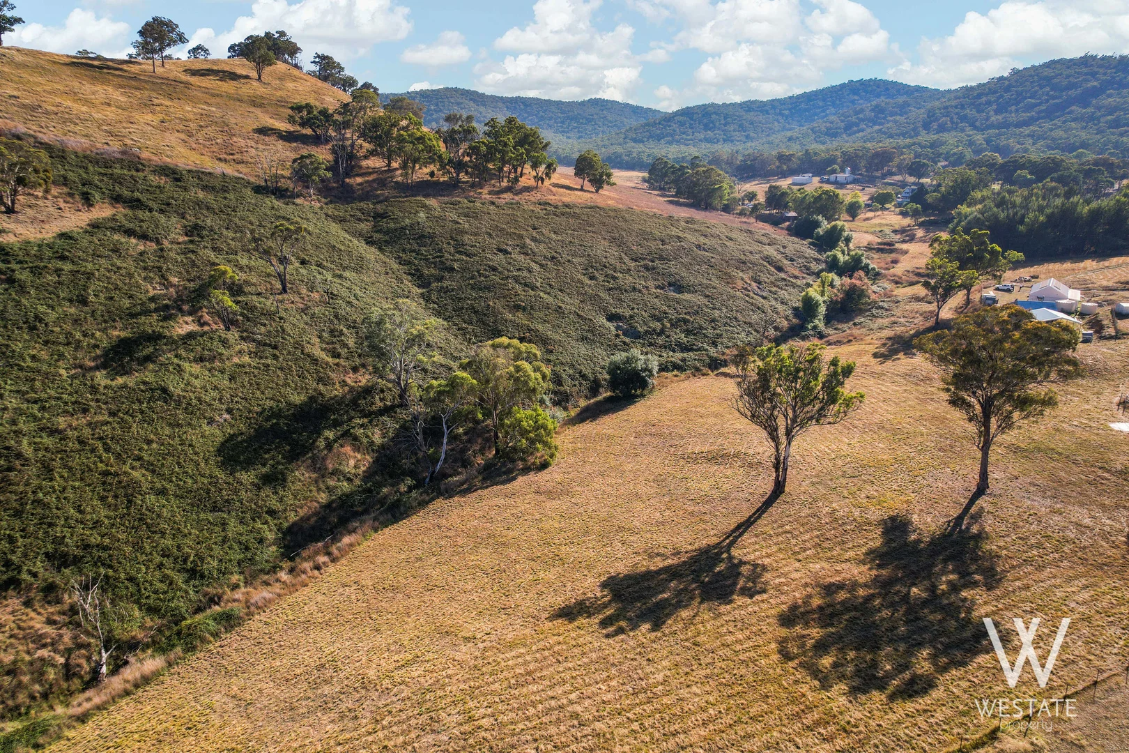 Additional image 20 of 2879 Beaconsfield Road, Wisemans Creek NSW 2795