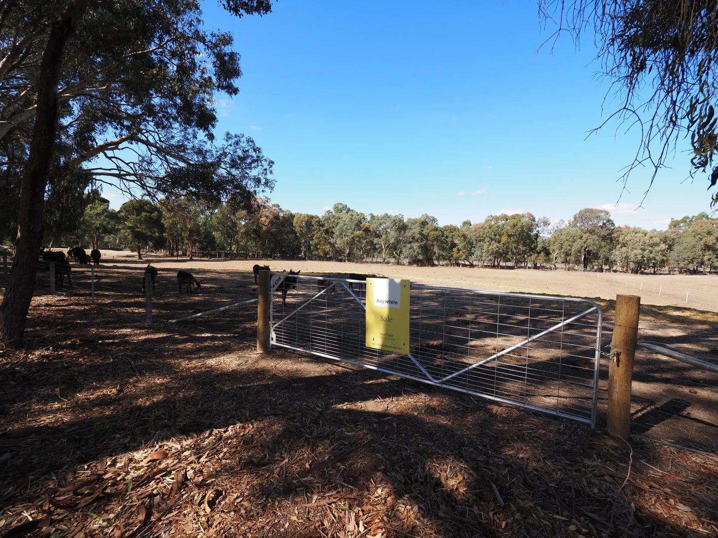 Additional image 2 of Ennis Street, Amphitheatre VIC 3468