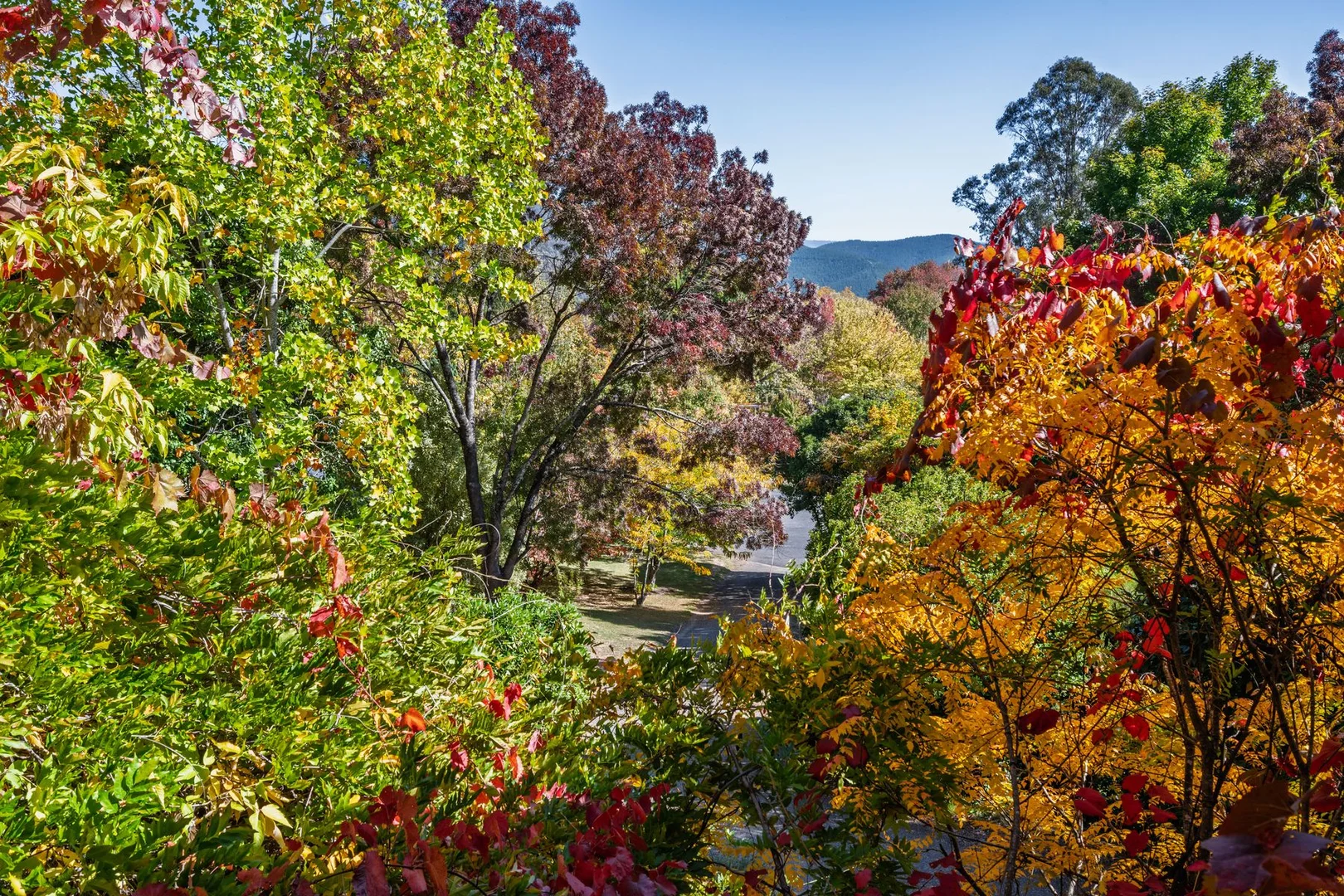 Additional image 42 of 22 Alrima Court, Bright VIC 3741