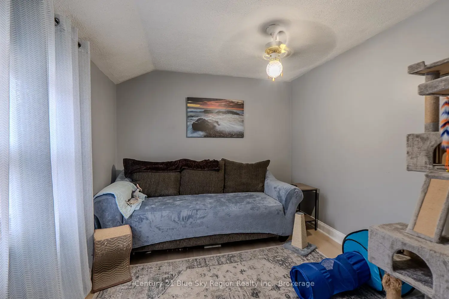 Additional image 17 of 242 Princess Street