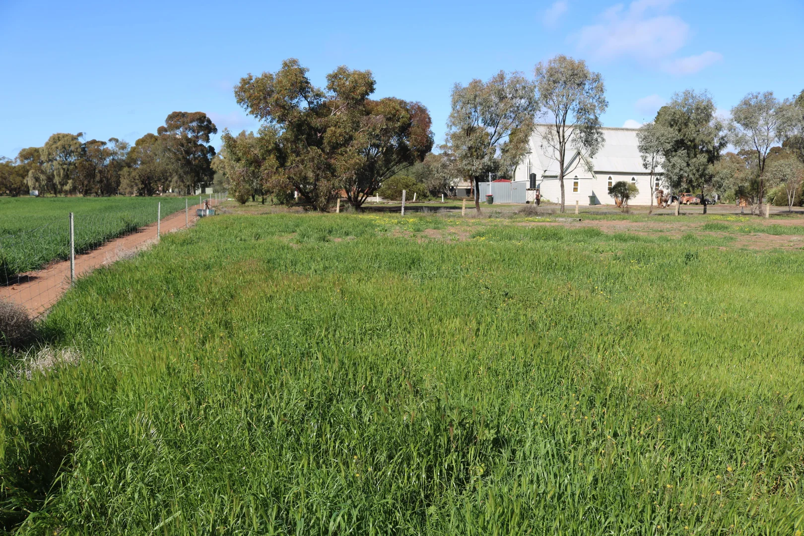 Additional image 5 of 24 North Road, Nullawil VIC 3529