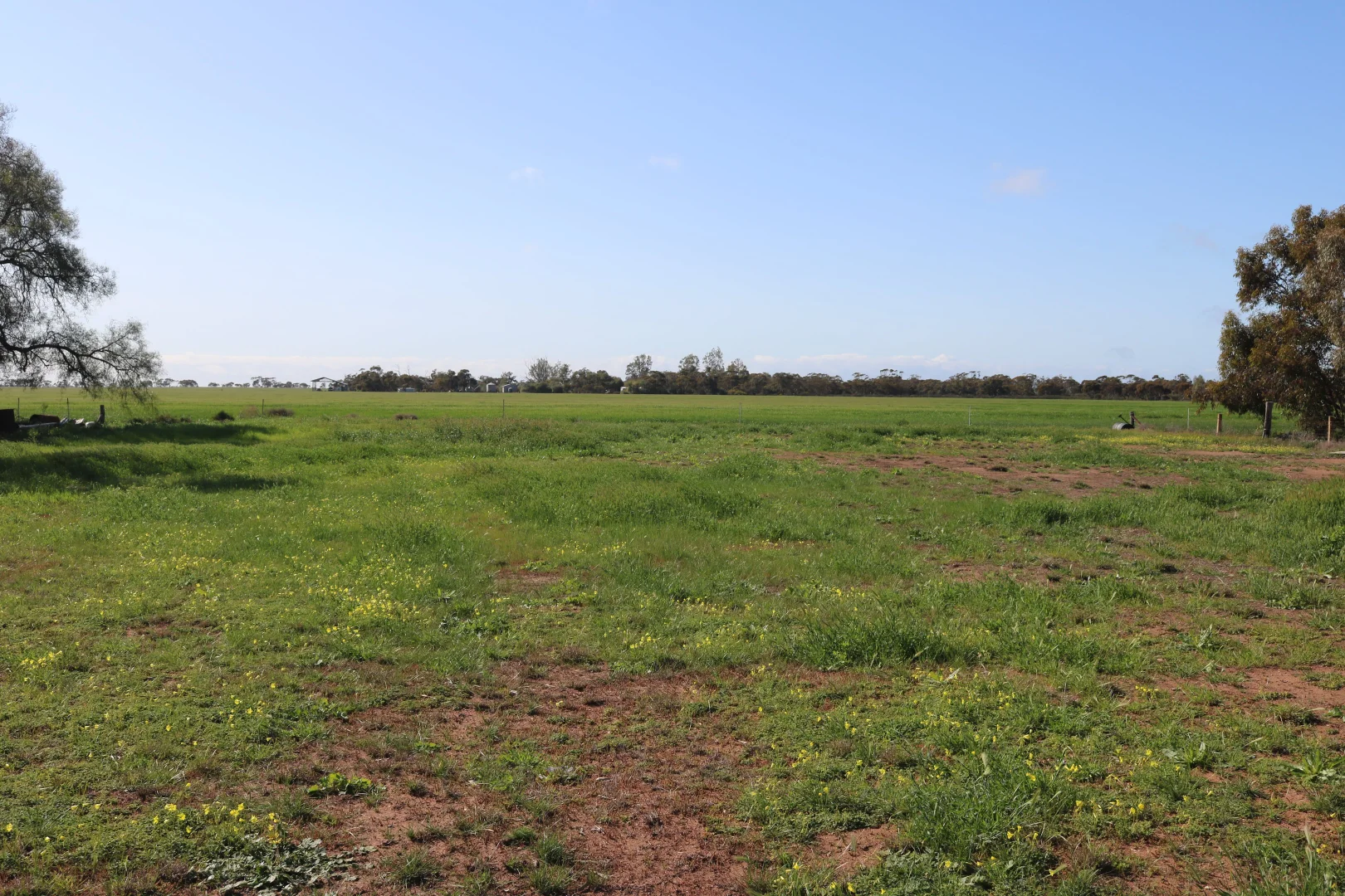 Additional image 3 of 24 North Road, Nullawil VIC 3529