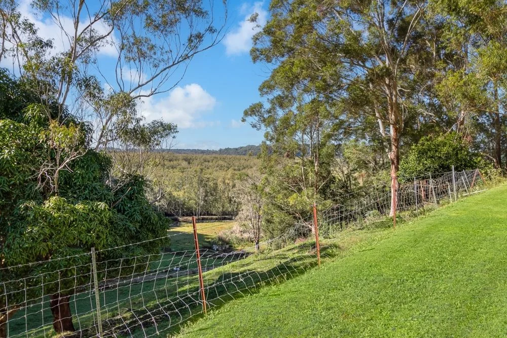 Additional image 32 of 165 McAuleys Road, Terranora NSW 2486