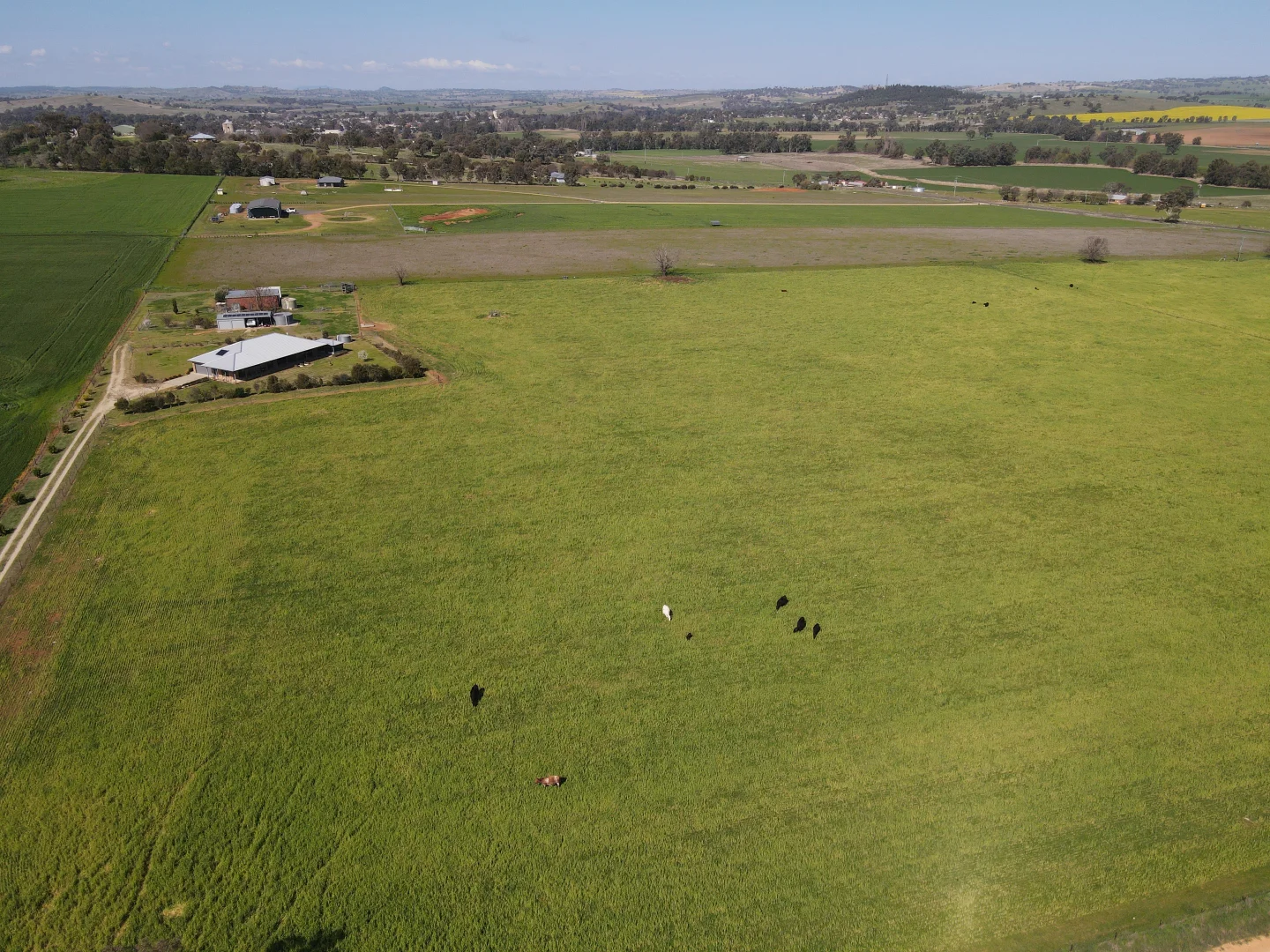 Additional image 27 of 56 Leneva Lane, Canowindra NSW 2804