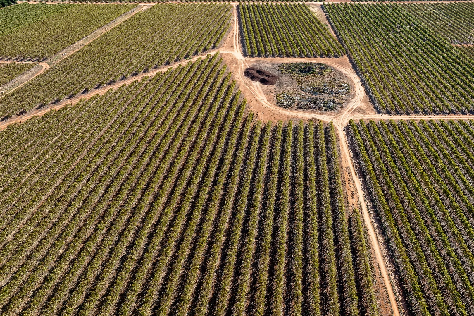 Additional image 4 of 2 Balfour Ogilvy Avenue, Loxton SA 5333