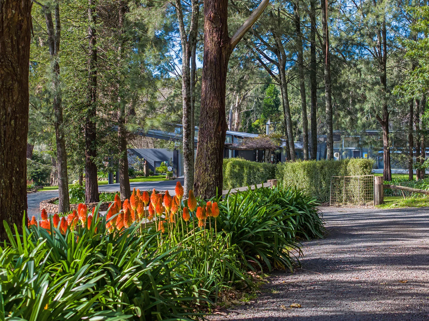 Additional image 19 of 1211 Old South Road, Bowral NSW 2576