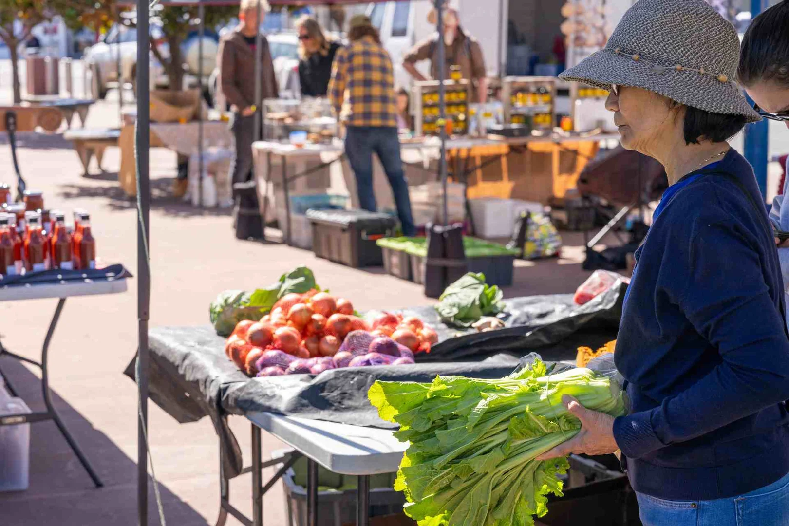 Additional image 5 of Lots 1 to 4, St Helens TAS 7216