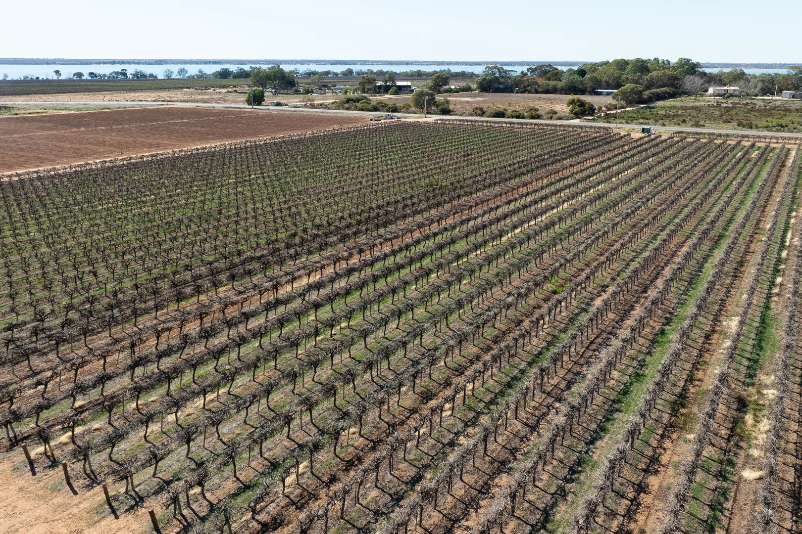 Additional image 38 of 229 Morgan Road, Cobdogla SA 5346