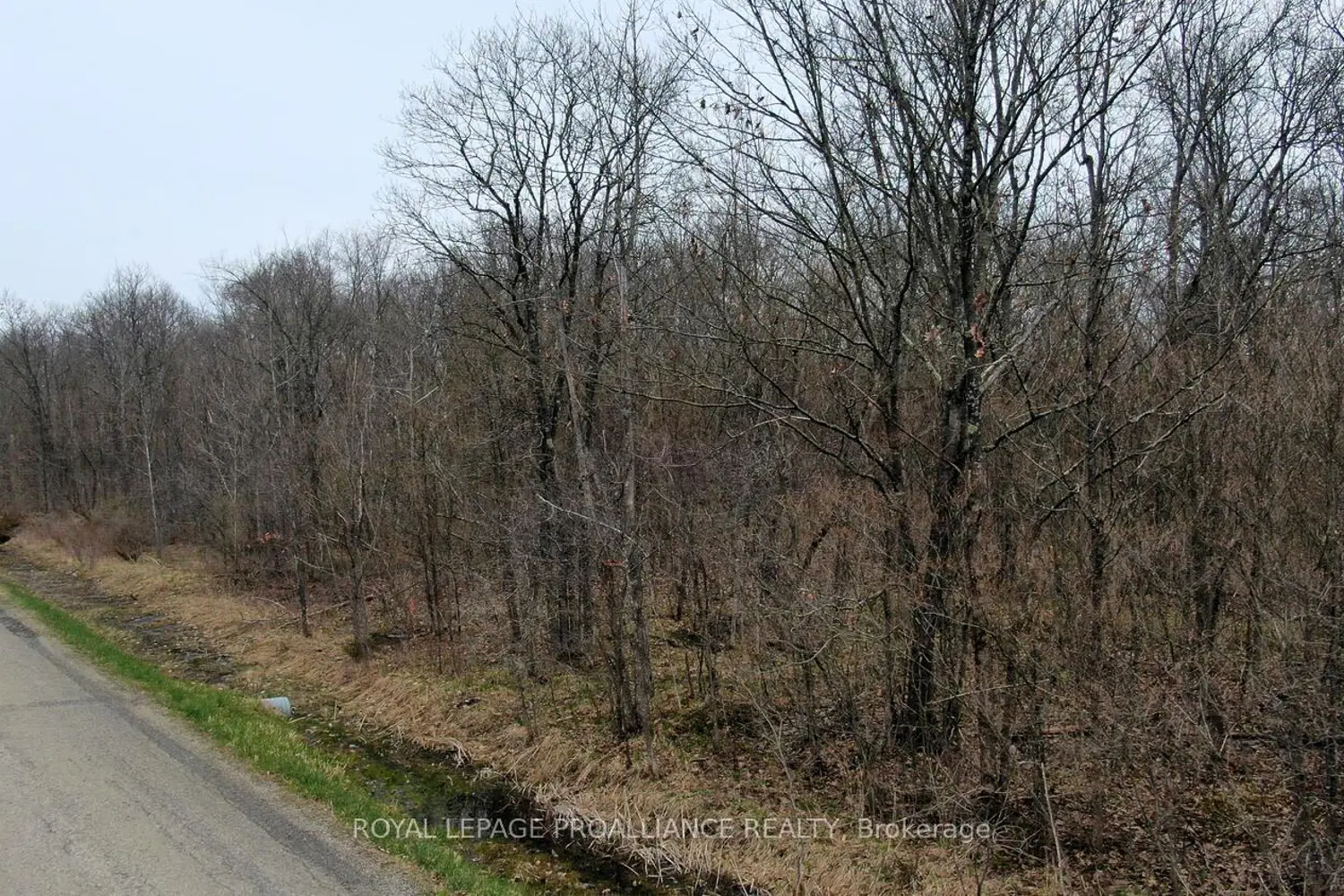 Additional image 6 of 0 Graham Lake Road