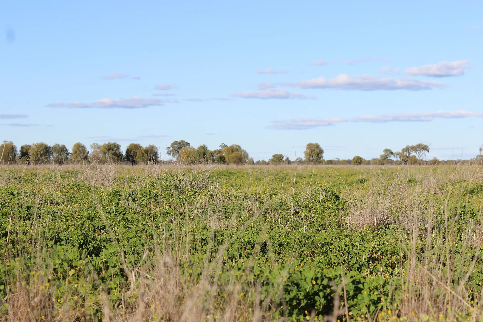 Additional image 5 of 1378 Keewong Lane, Coonamble NSW 2829