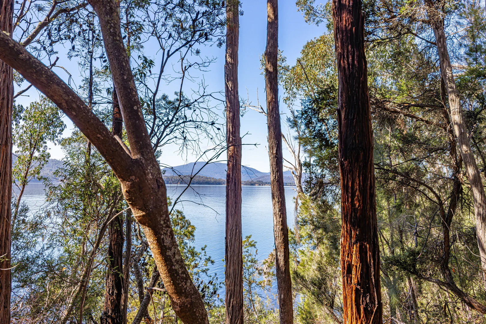 Additional image 6 of 287 Esperance Coast Road, Brooks Bay TAS 7116