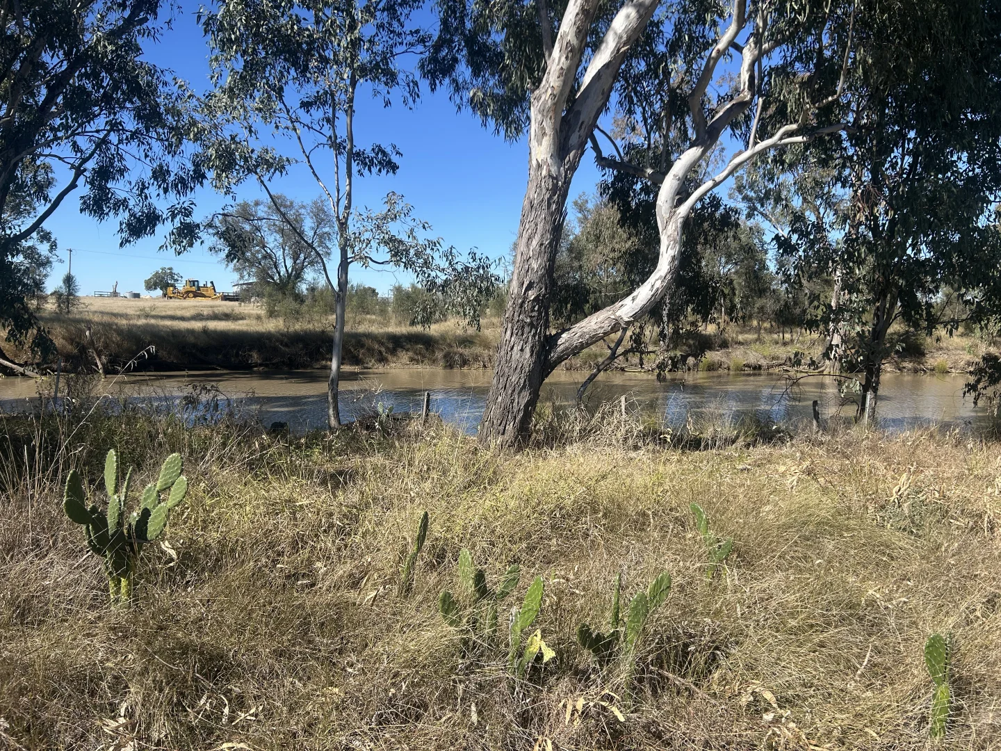 Additional image 30 of 4921 Meandarra Condamine Road, Meandarra QLD 4422