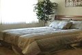 Additional image 12 of 300 Peppertree Way, Pittsburg, CA, 94565