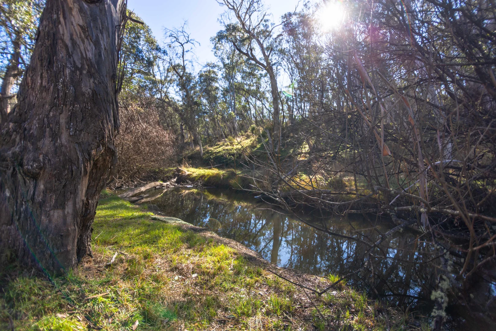 Additional image 13 of 2443 Great Alpine Road, Cobungra VIC 3898