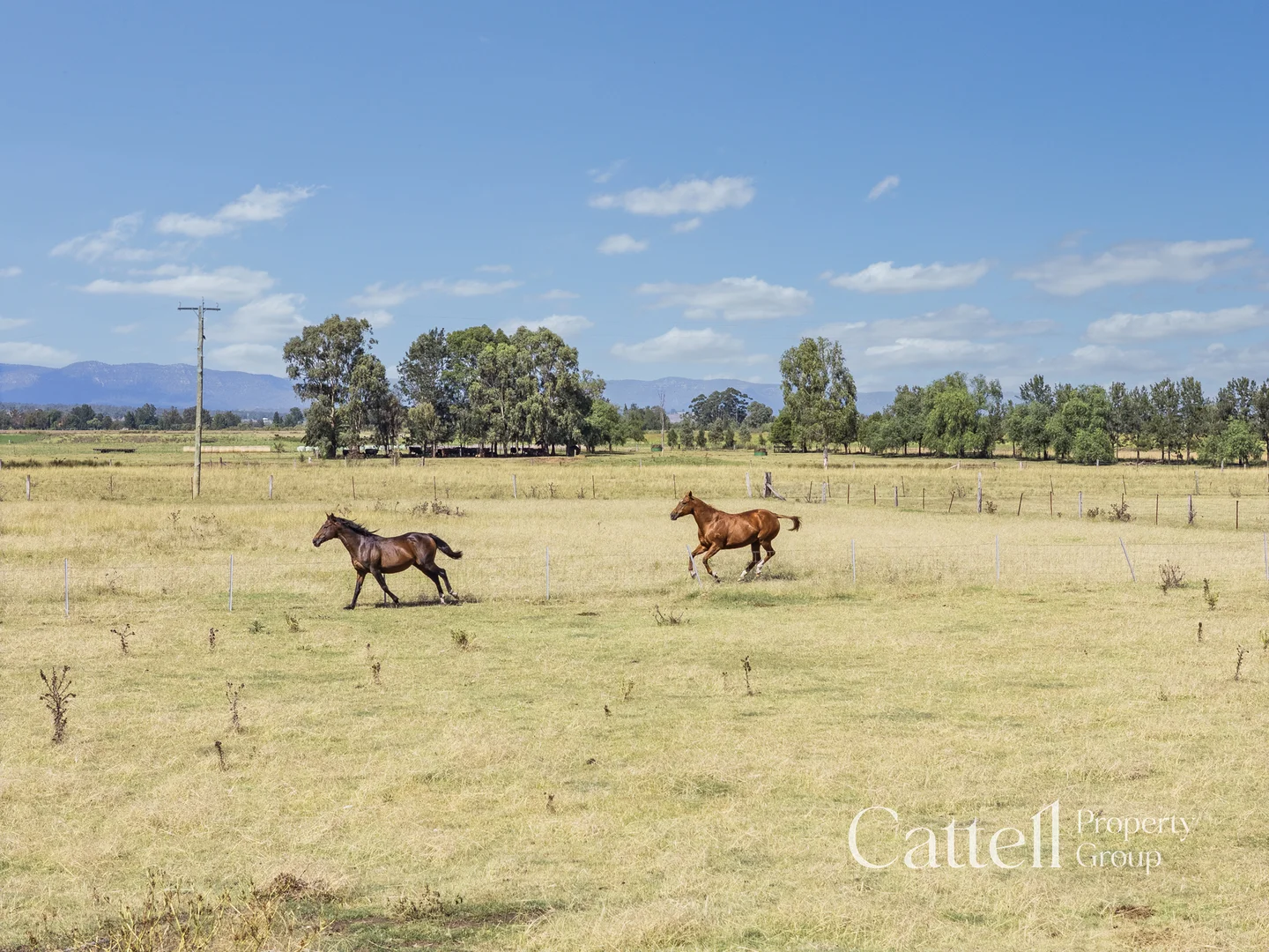 Additional image 32 of 586 Glendon Road, Singleton NSW 2330