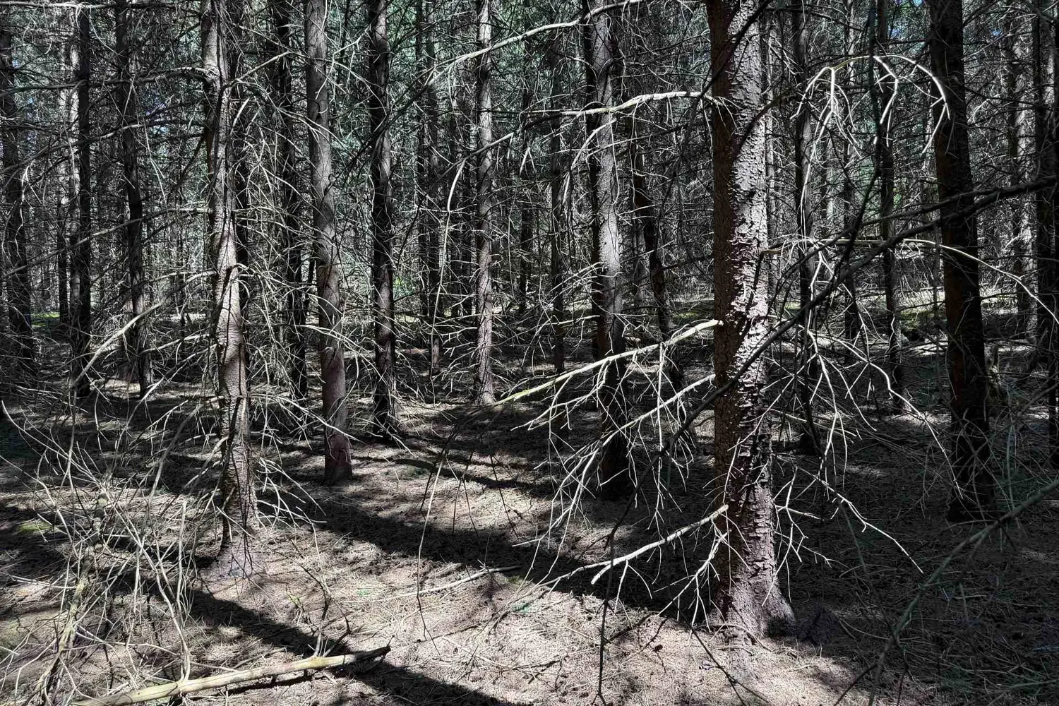 Additional image 7 of 20489 Hurontario Street