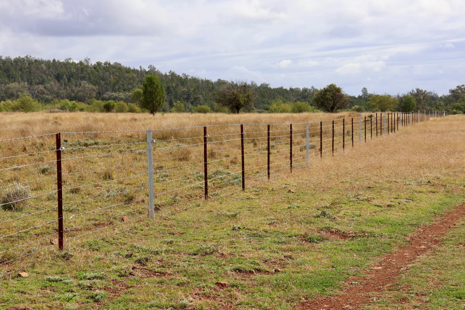 Additional image 18 of The Wilgas Cobbadah Road, Bingara NSW 2404