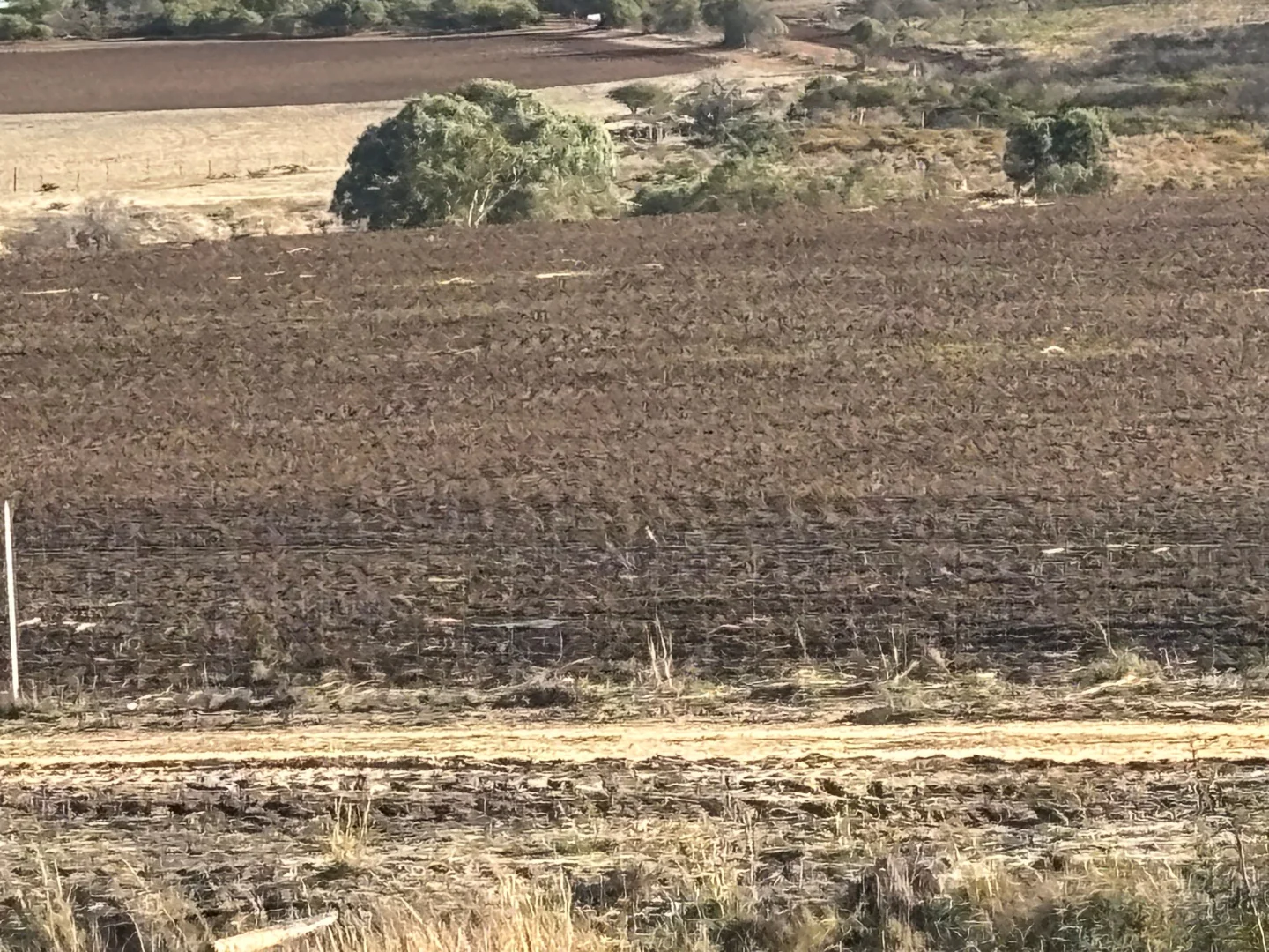 Additional image 32 of 1010 Nanson-Howatharra Road, Howatharra WA 6532