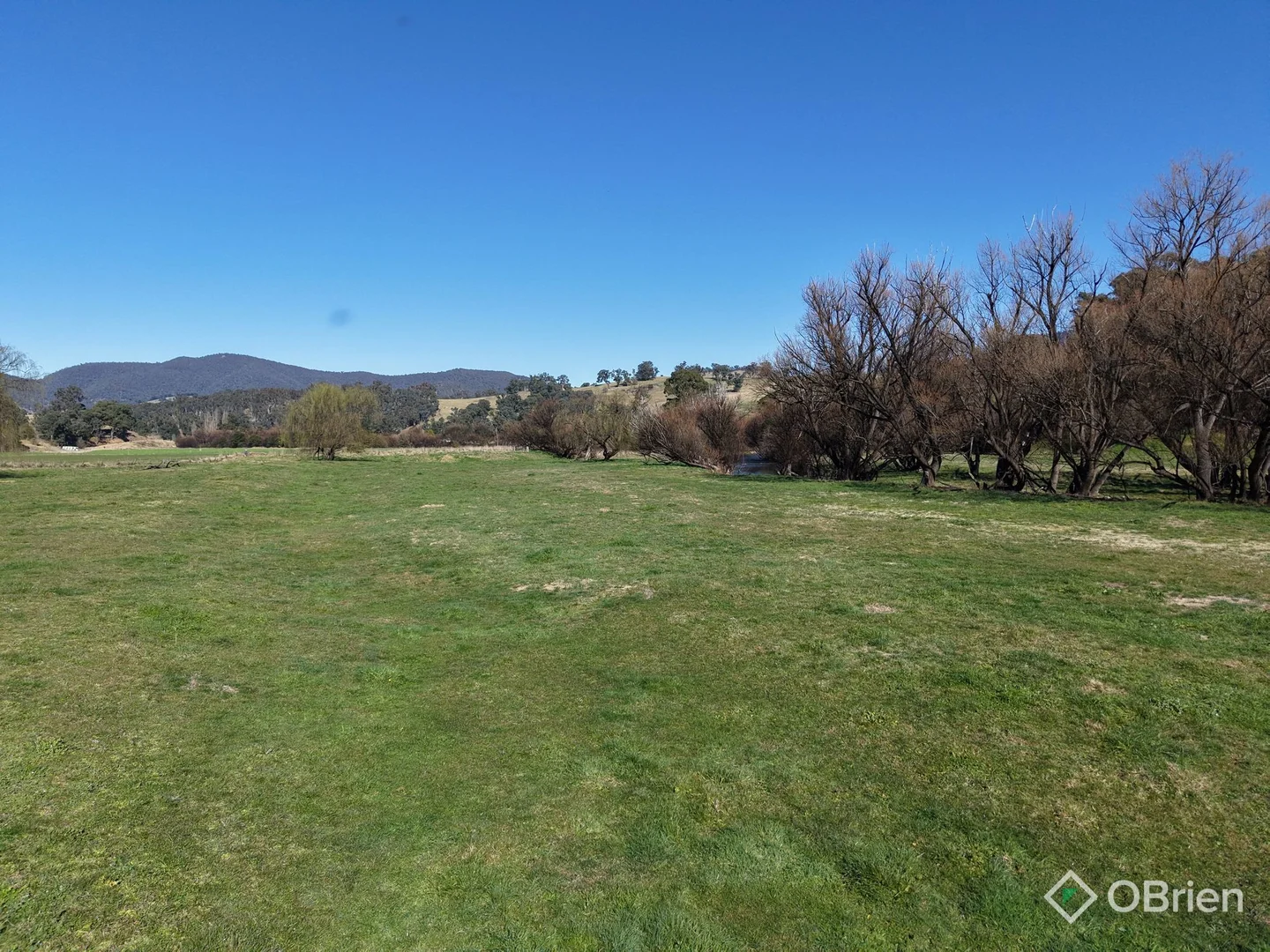 Additional image 5 of 114 Dargo High Plains Road, Dargo VIC 3862