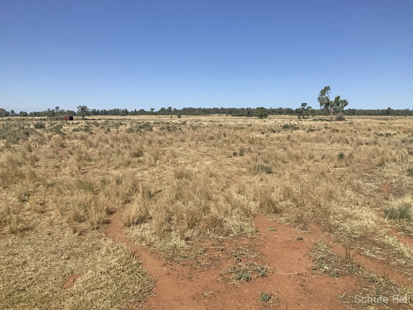 Additional image 11 of 703 Yethera Road, Tullamore NSW 2874