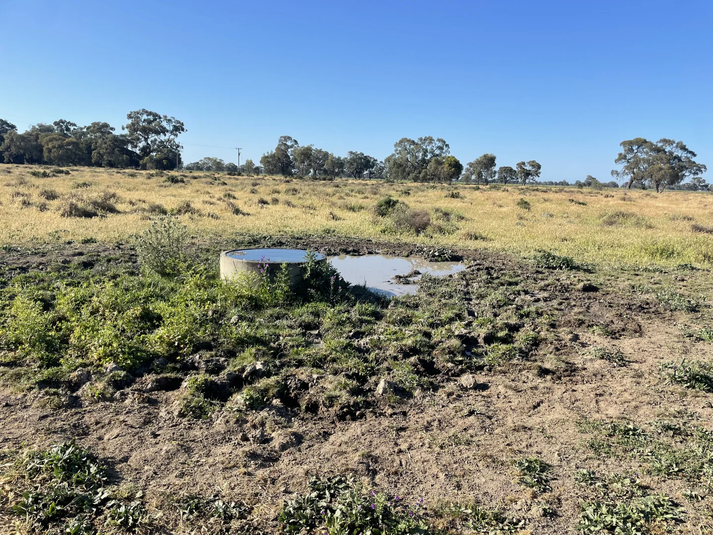 Additional image 23 of 'Yileen' 4371 Moulamein Road, Tullakool NSW 2732