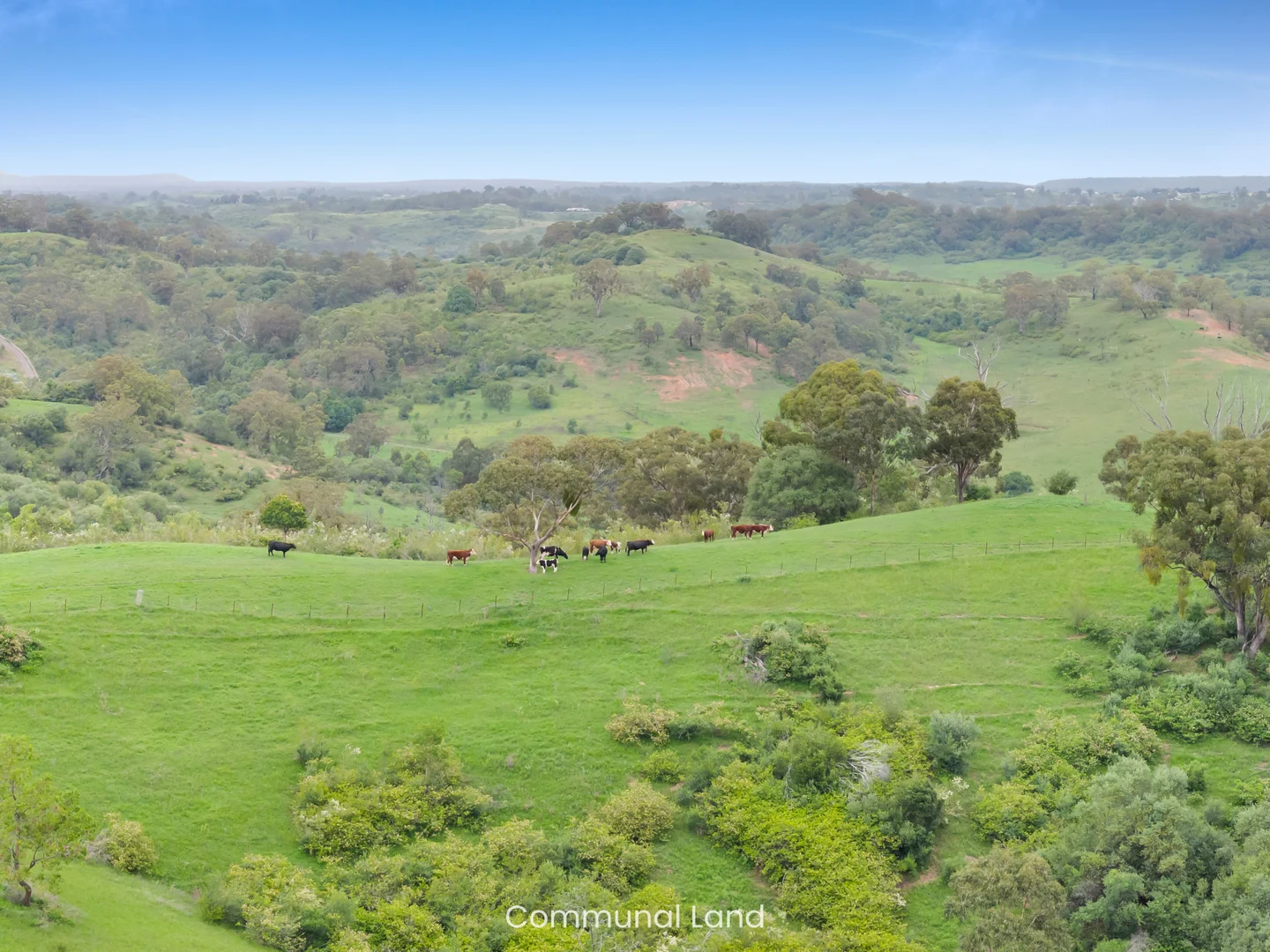 Additional image 36 of 10 Alexander Way, Mount Hunter NSW 2570