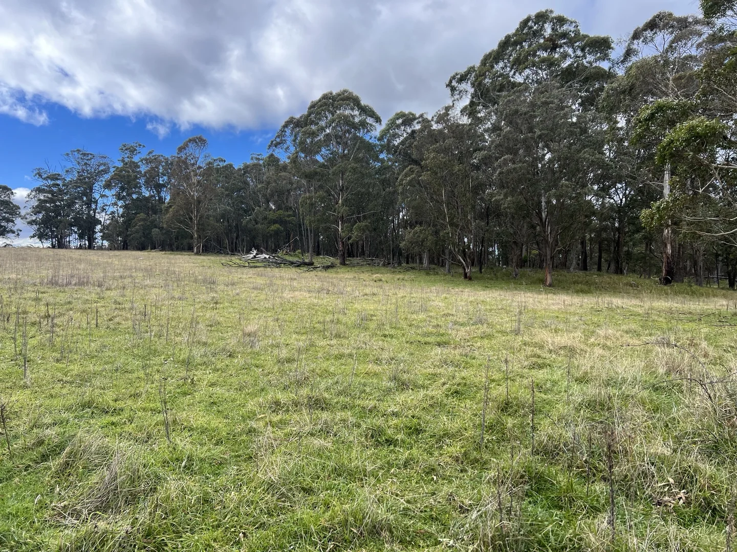 Additional image 6 of * Coopers Road, Red Range NSW 2370