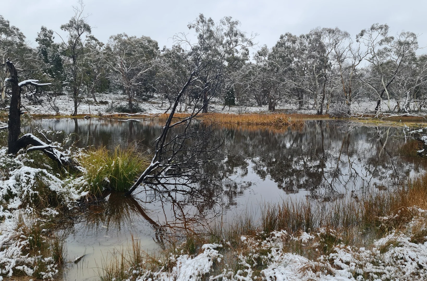 Additional image 21 of Lot 34 Palarang Road, Merriangaah NSW 2632