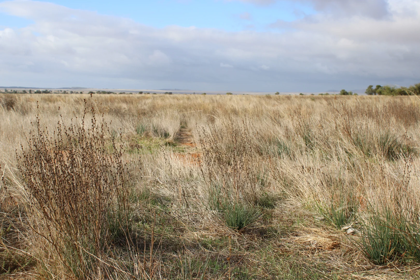 Additional image 41 of 1860 Cleary Road, Terowie SA 5421