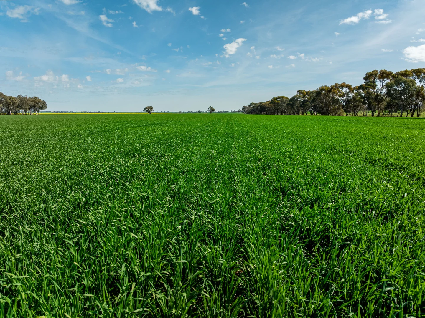 Additional image 2 of 90 Kilnyana Road, Savernake NSW 2646