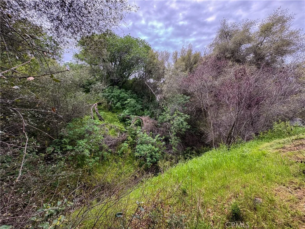 39313 Squaw Valley, Squaw Valley, CA 93675