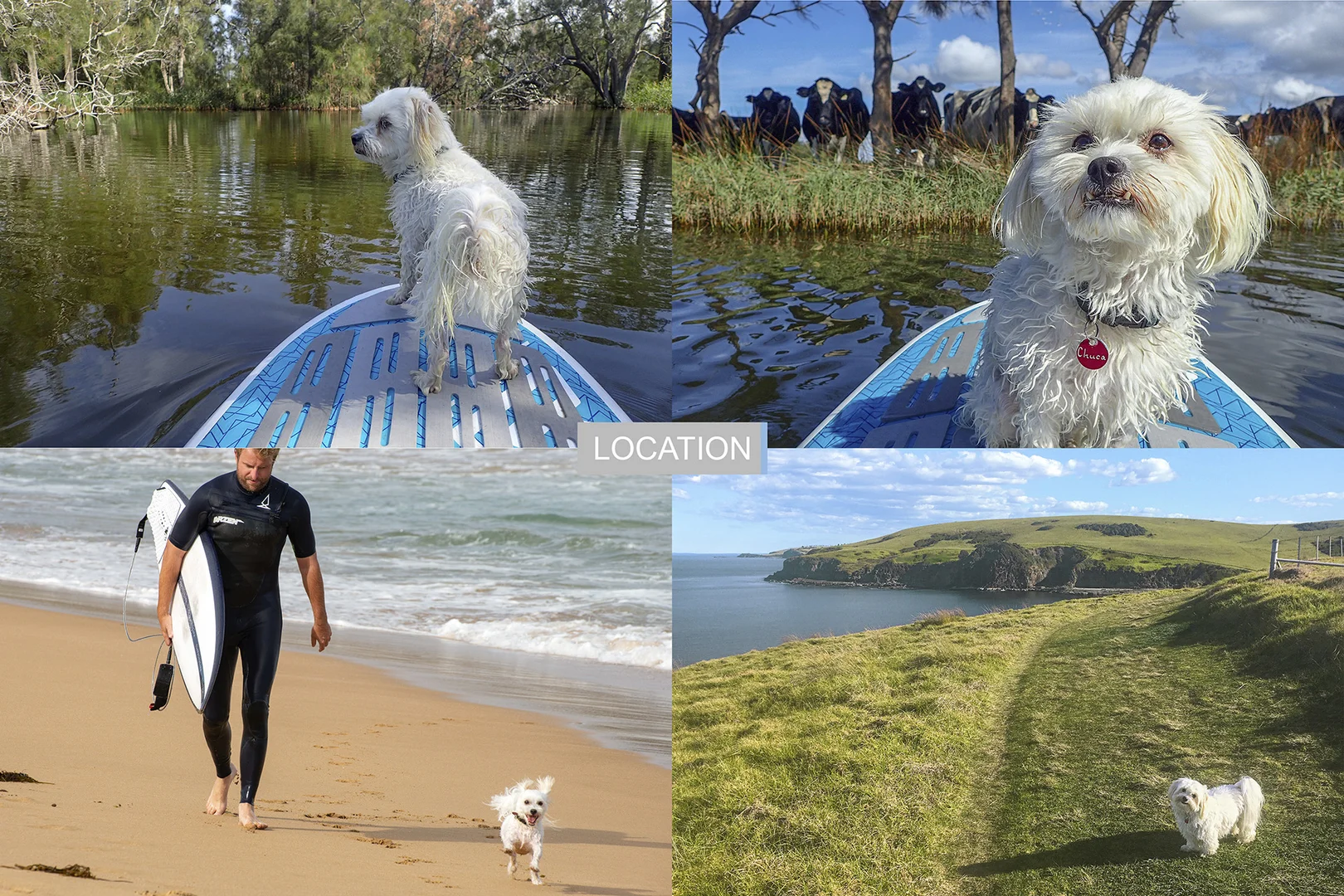 Additional image 15 of 2/129 Renfrew Road, Werri Beach NSW 2534