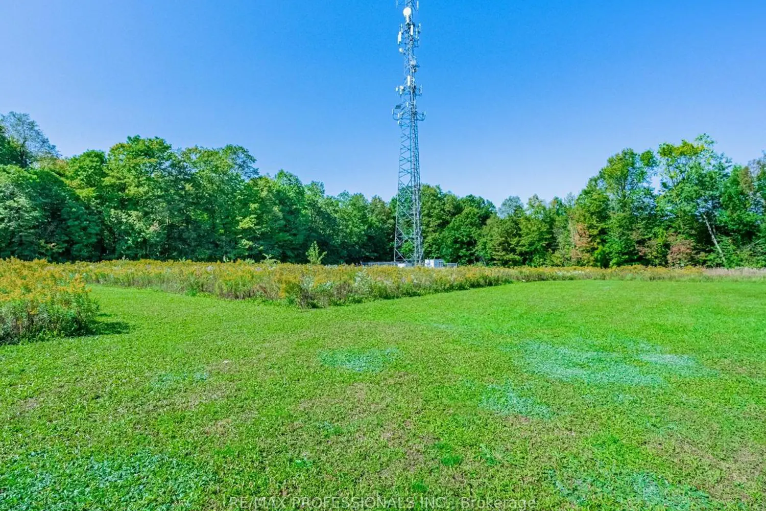 Additional image 15 of 13908 Trafalgar Road