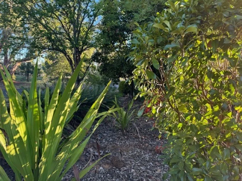 Additional image 4 of 93 Margaret Crescent, Dubbo NSW 2830