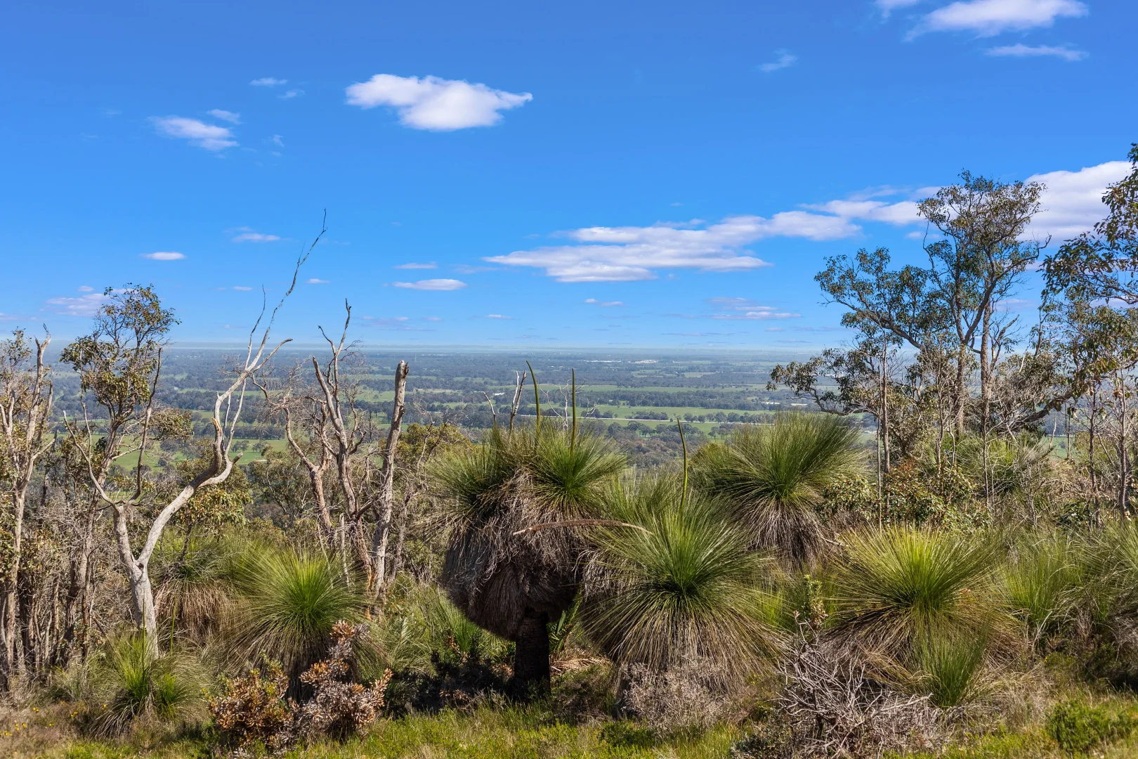 Additional image 6 of North Dandalup WA 6207