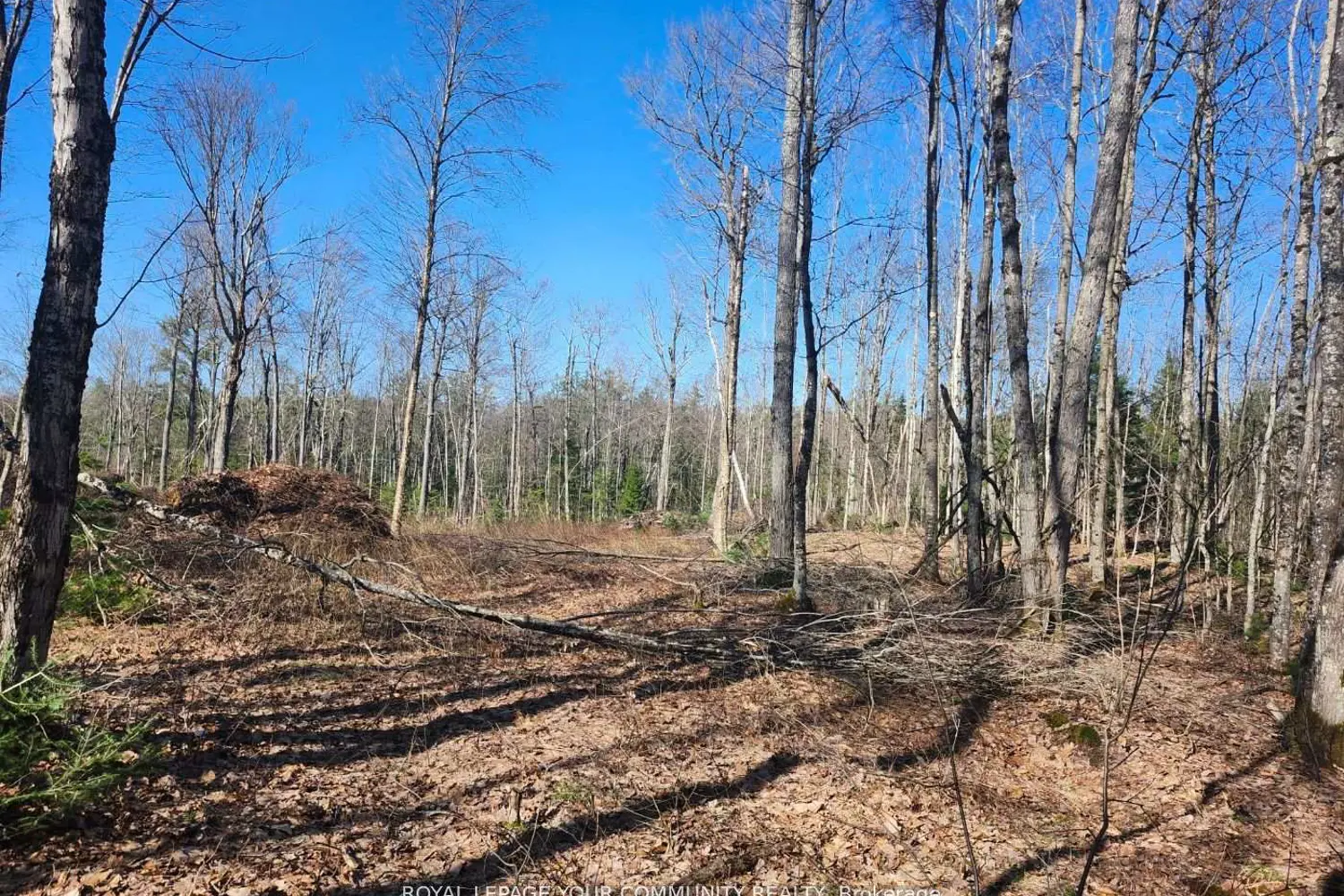 Additional image 5 of 1282 Highway 118 Road