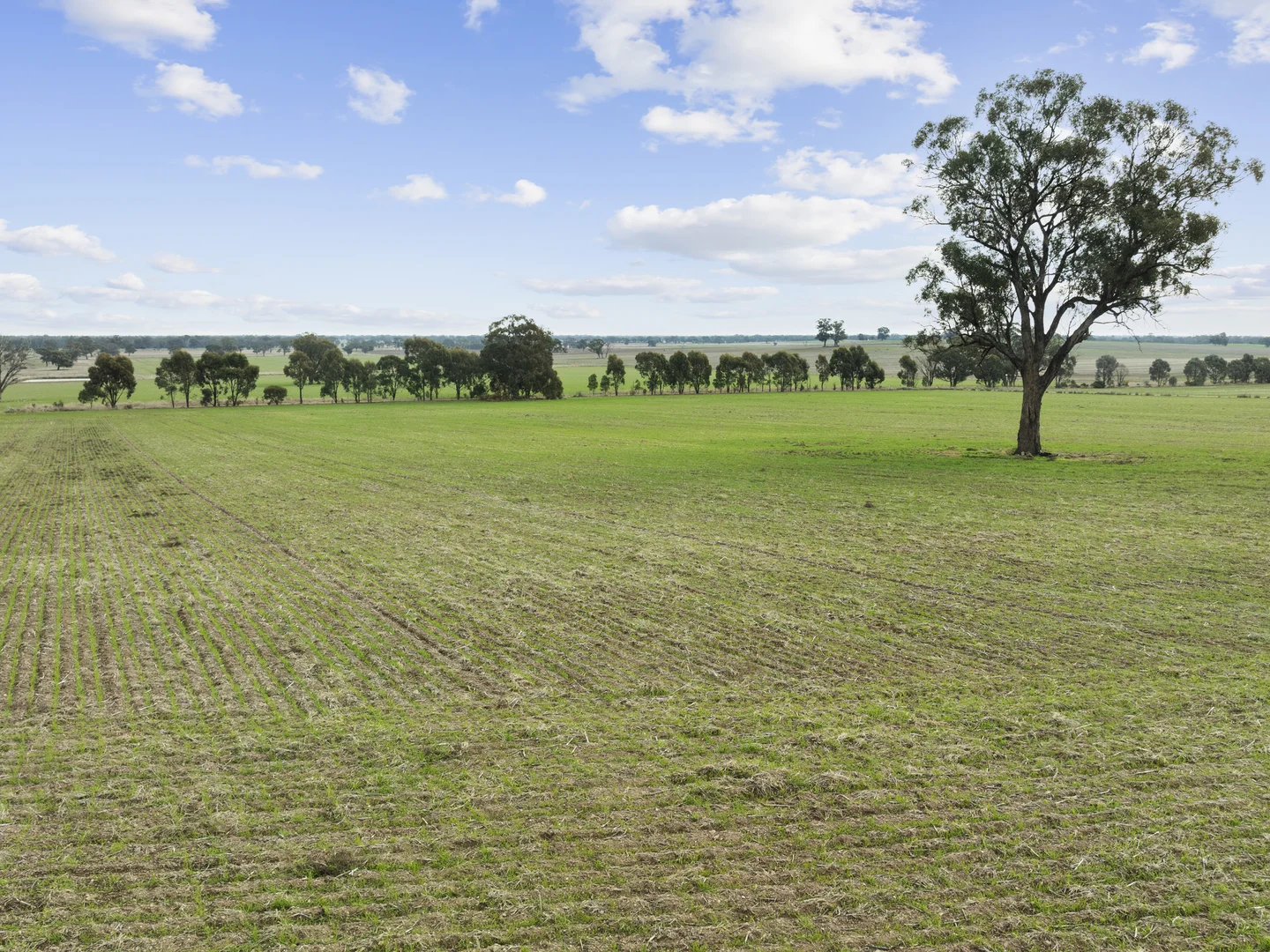 Additional image 7 of 800 Bridge Road, Caniambo VIC 3630