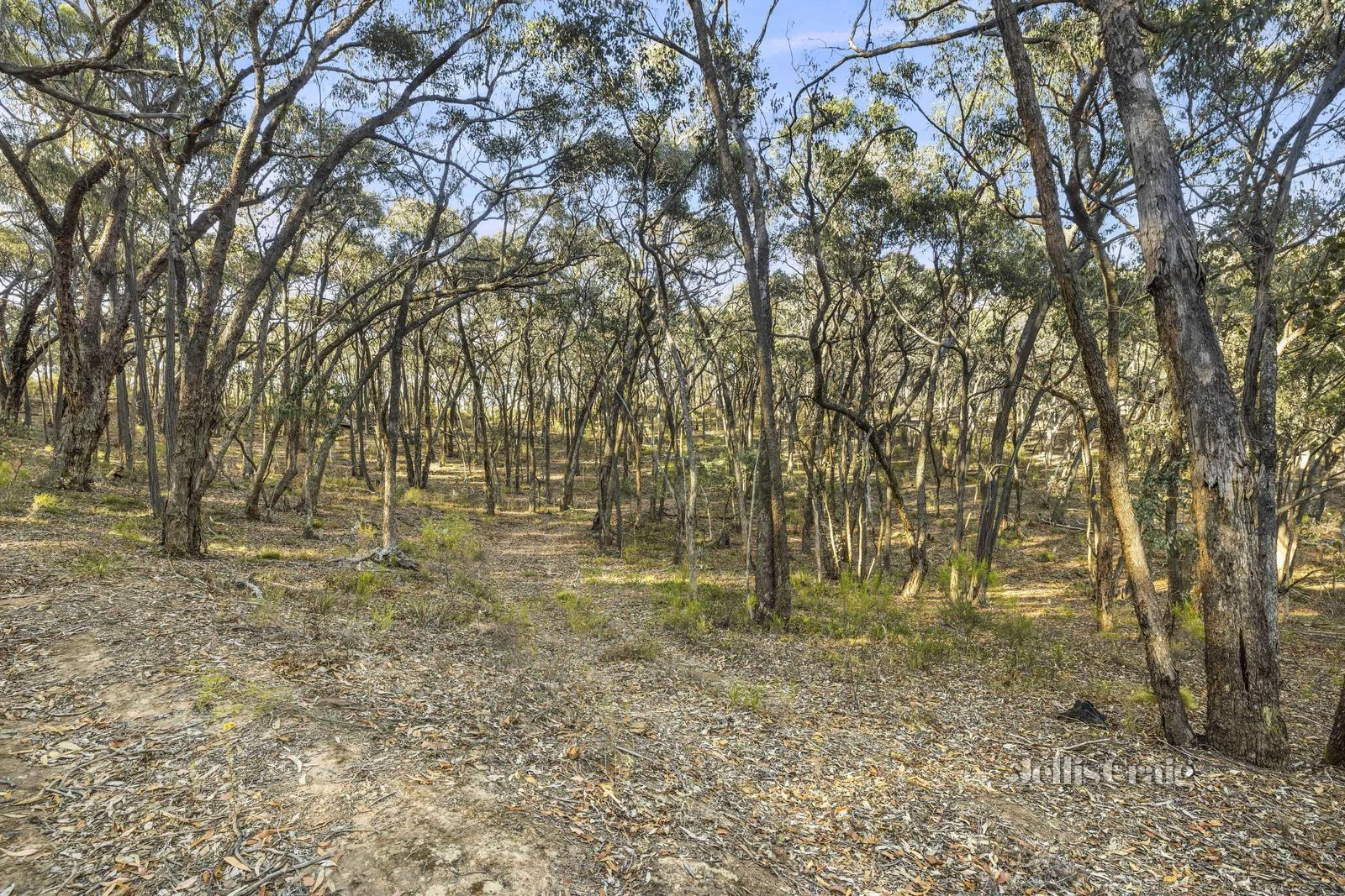 Additional image 6 of 589 Vaughan Springs Road, Drummond North VIC 3446
