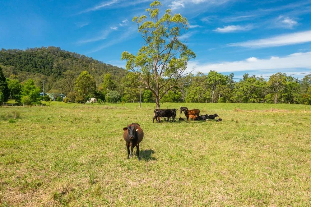 Additional image 5 of 7276 Oxley Highway, Yarras NSW 2446