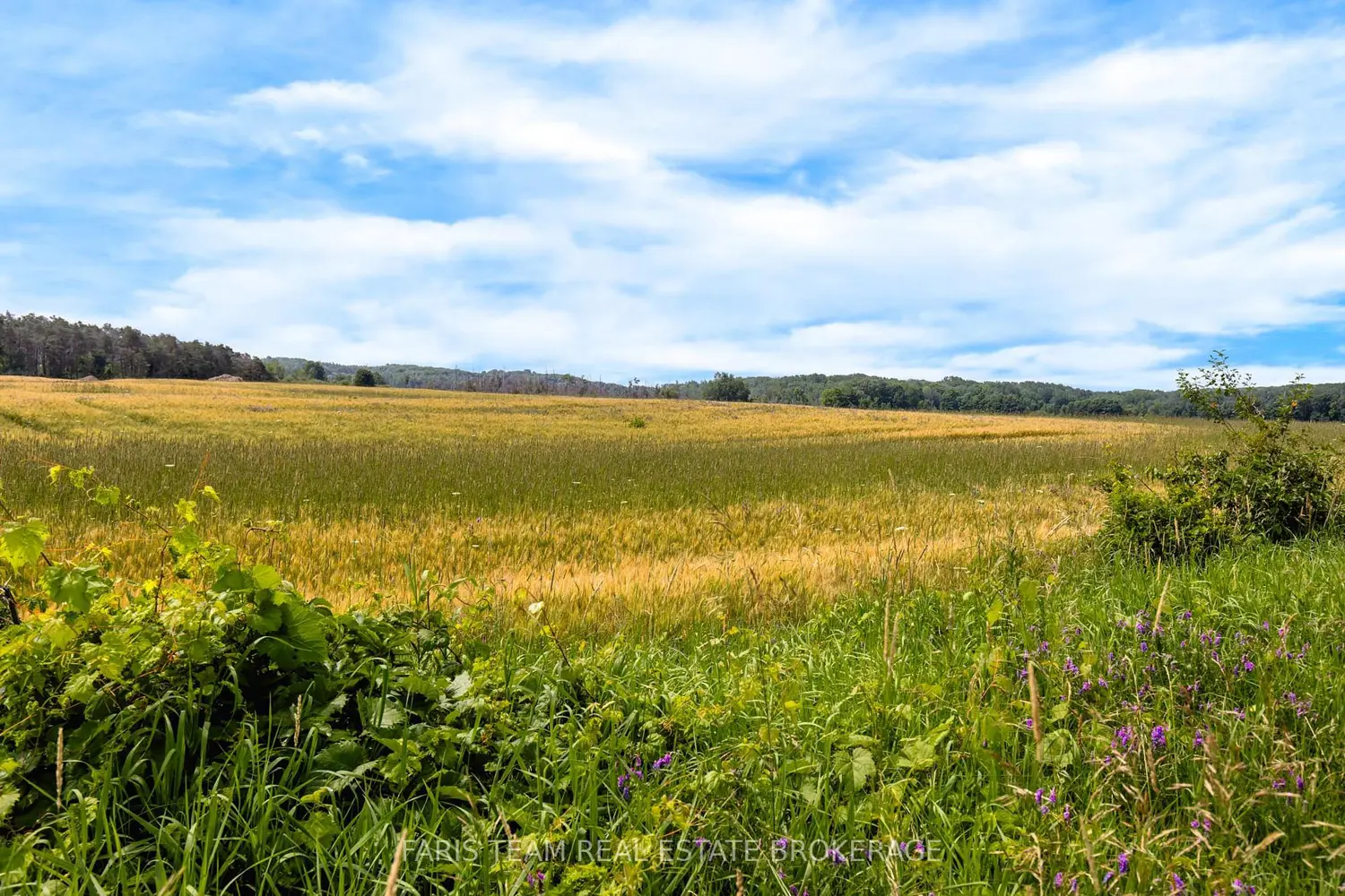 Additional image 2 of 1499 Tay Point Road