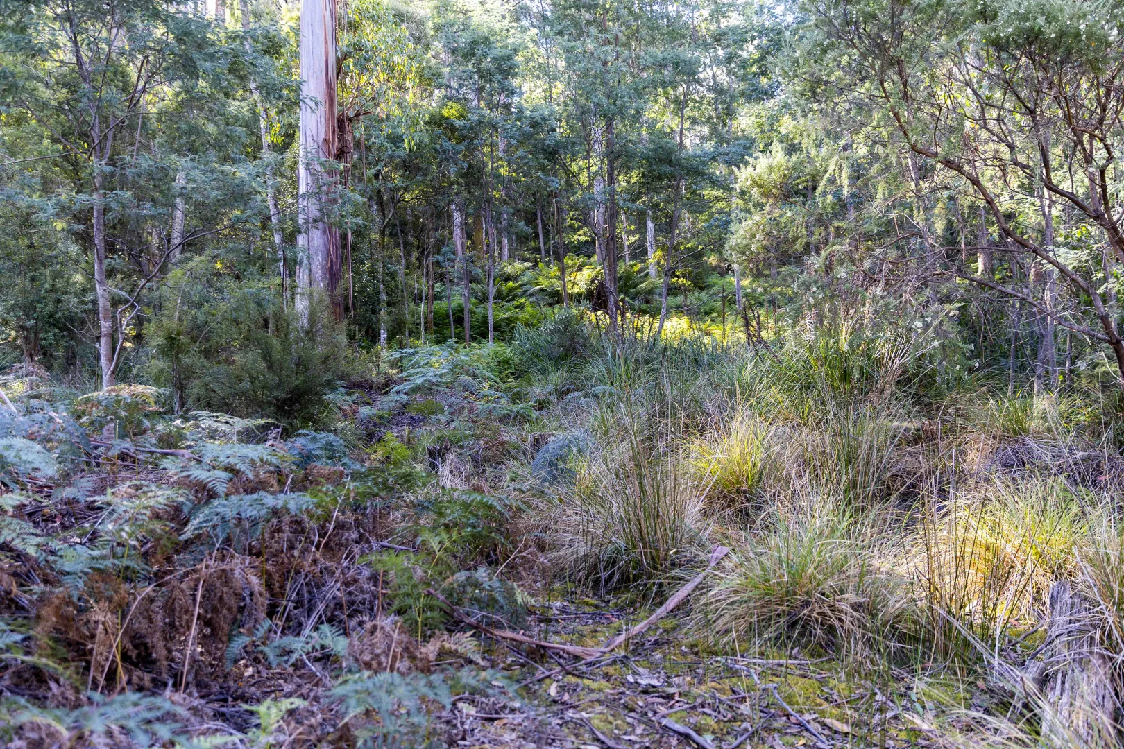 Additional image 26 of 90 Caseys Road, Nicholls Rivulet TAS 7112