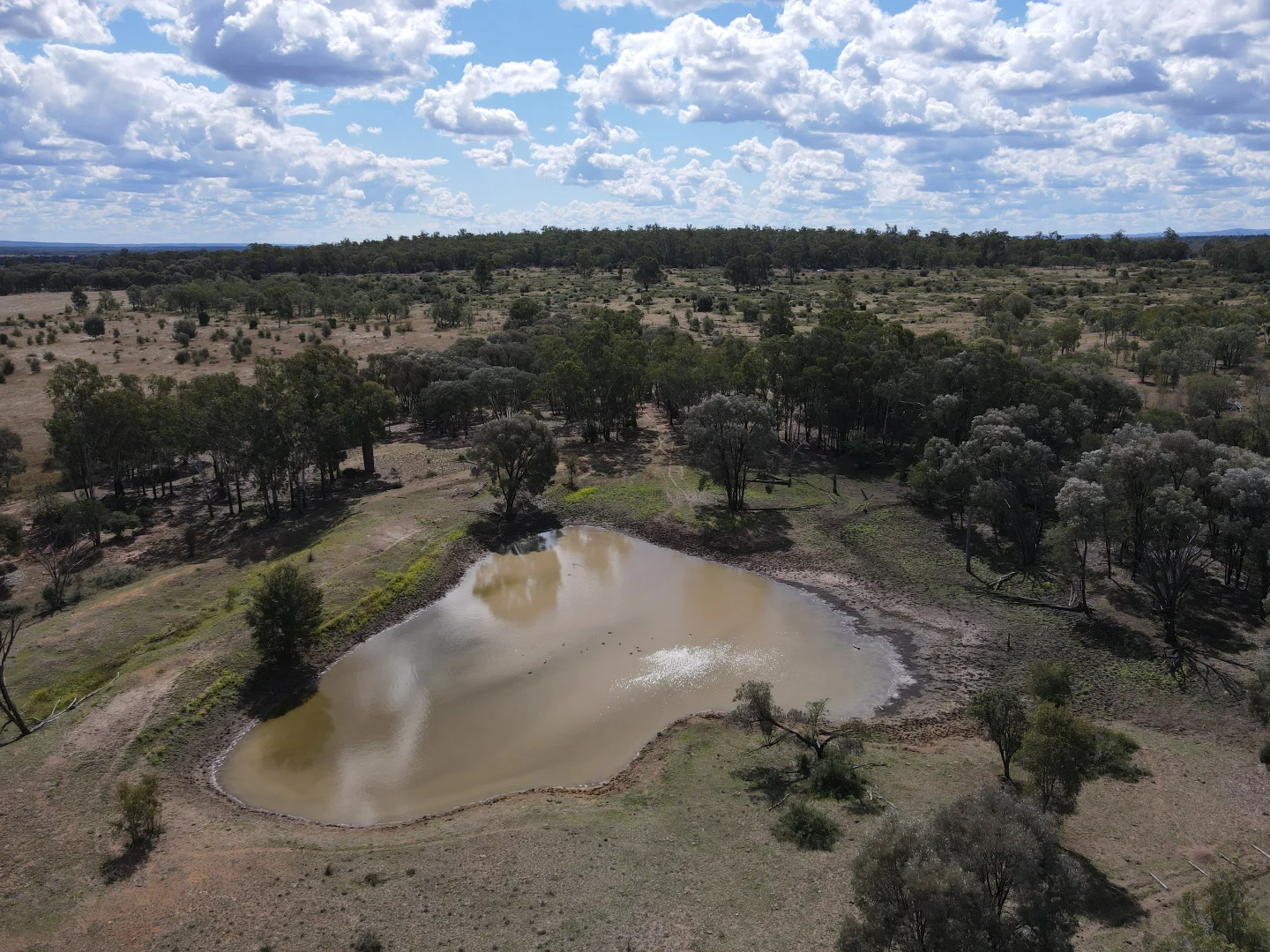 Additional image 14 of 780 Olinda Rd, Kokotungo QLD 4702