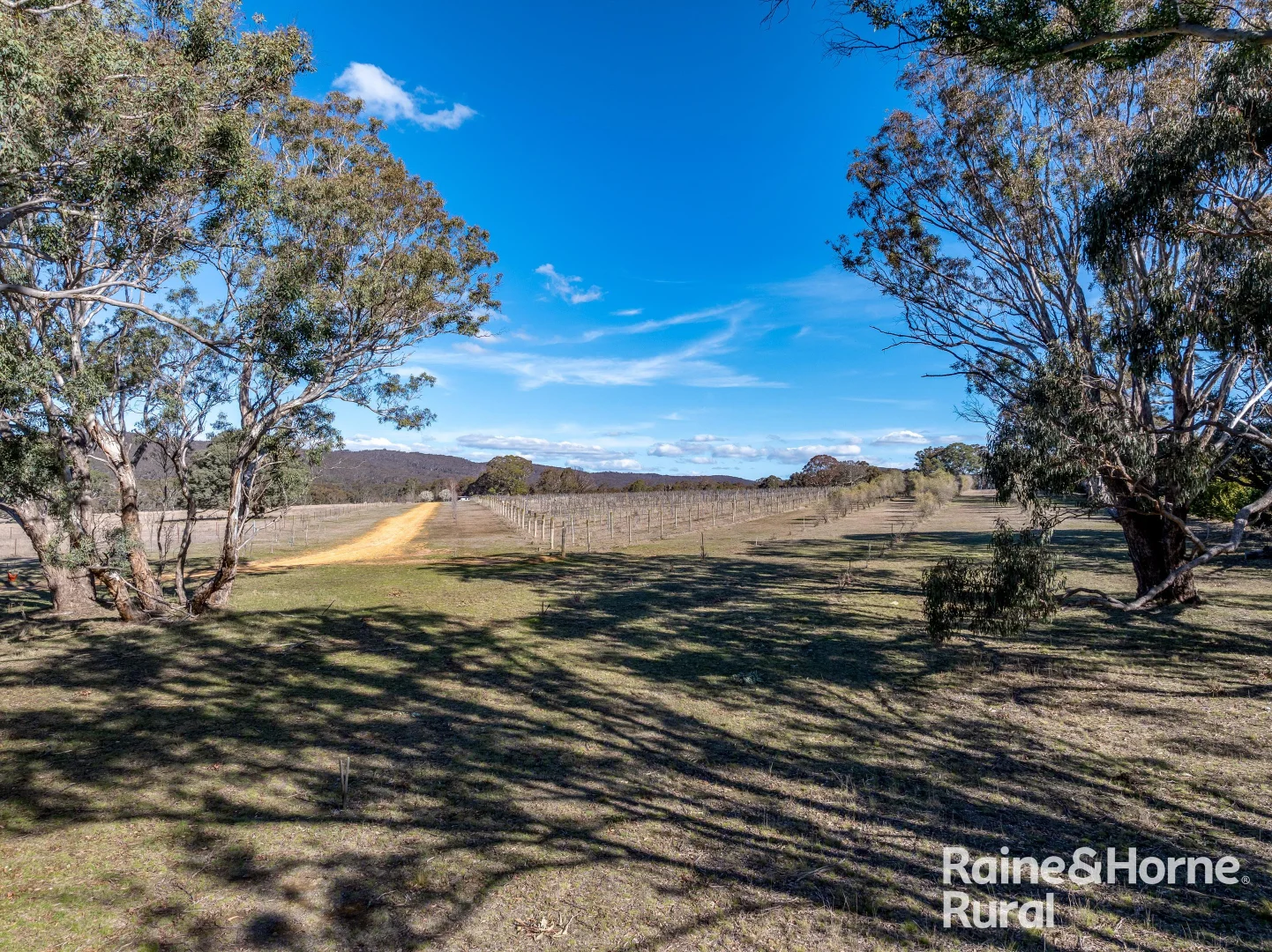 Additional image 31 of 1917 Collector Road, Collector NSW 2581