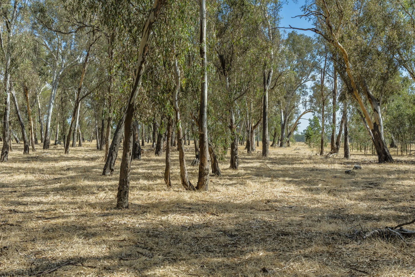 Additional image 18 of 200 Campbells Road, Redesdale VIC 3444