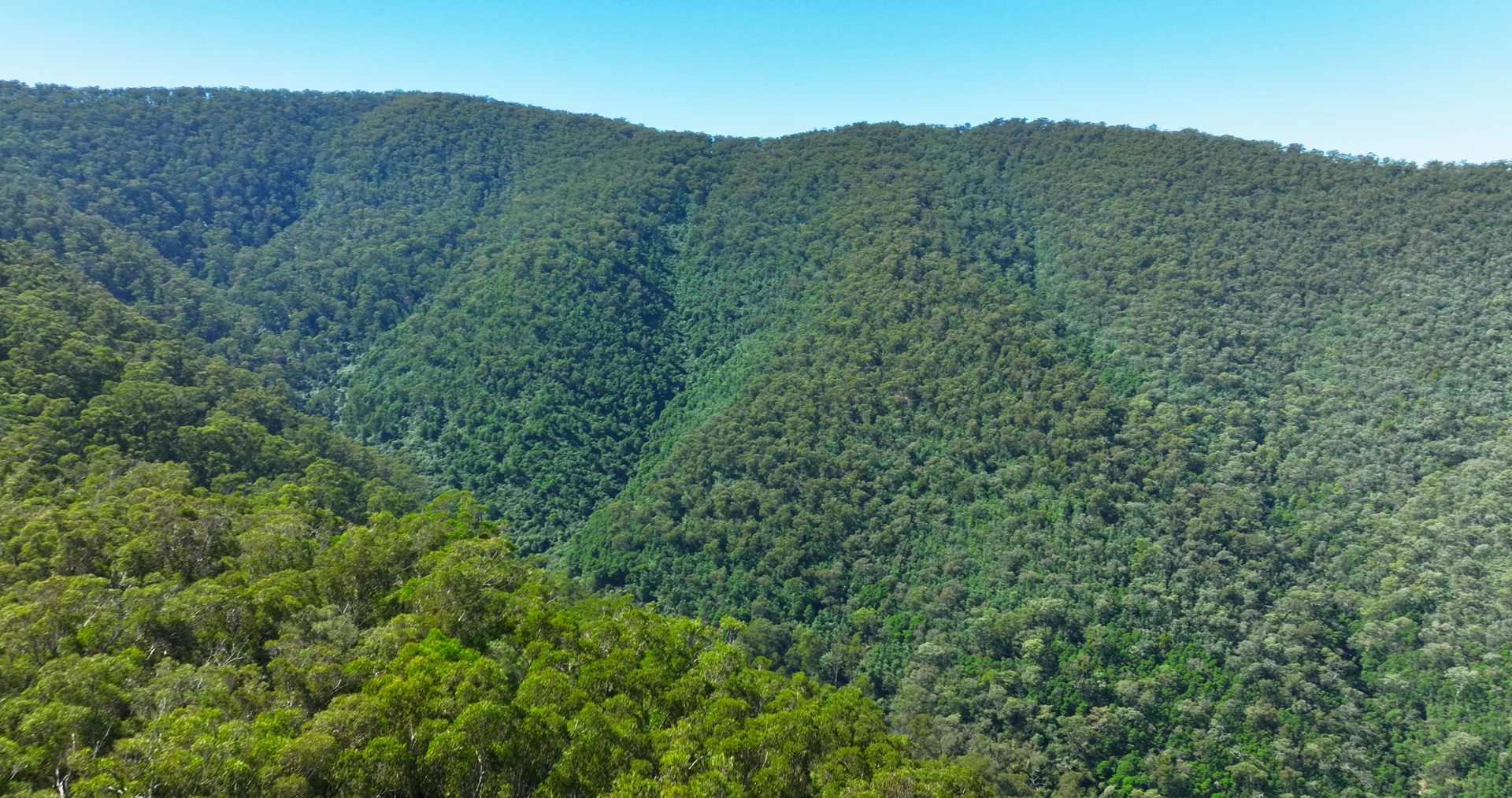 Additional image 12 of CA 9 Sec 20 Wonnangatta Road, Dargo VIC 3862