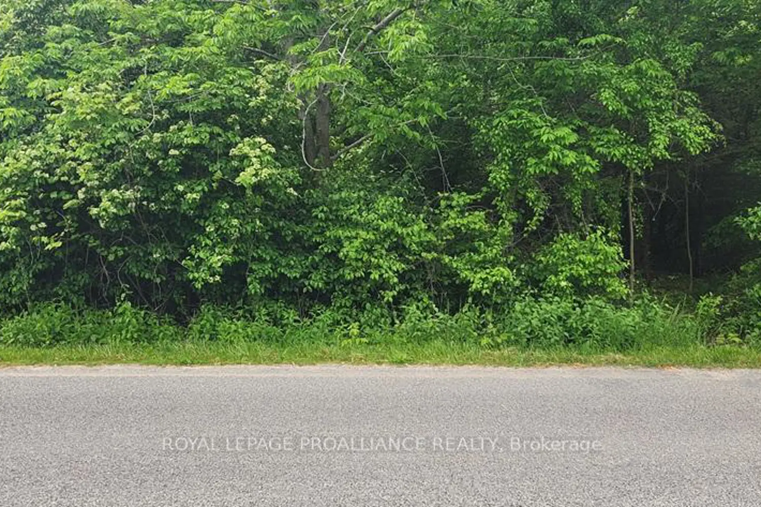 Additional image 5 of 00 Scriver Road