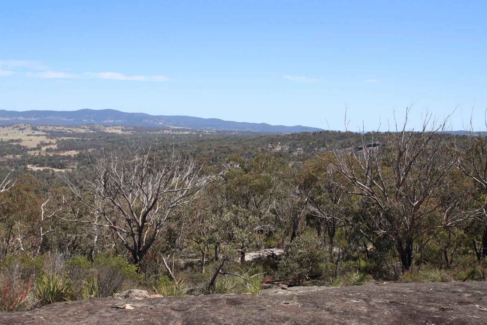 Additional image 14 of Lot 1 Brusharbers Road, Tenterfield NSW 2372